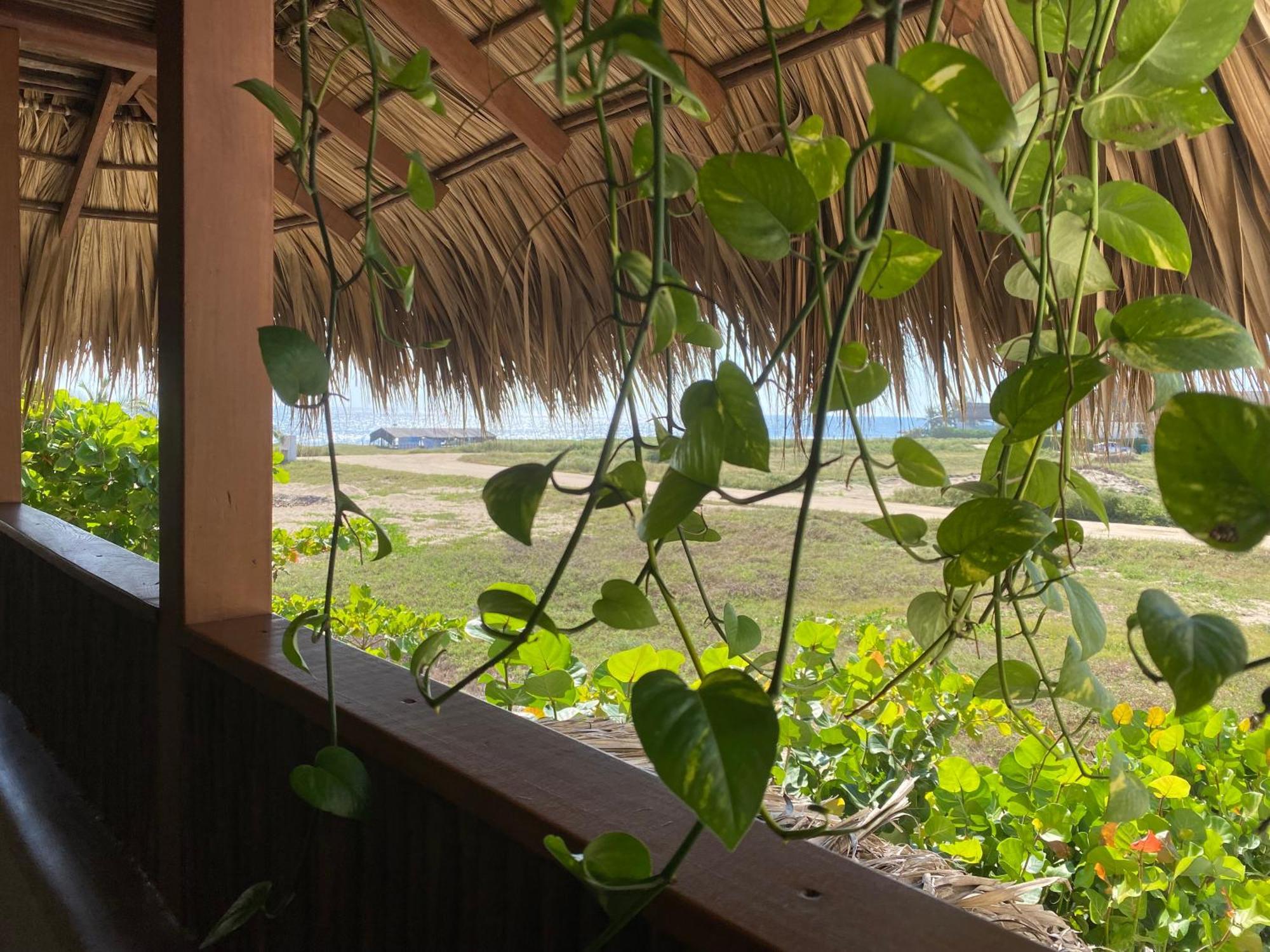 El Origen Villas & Spa-Puerto Escondido Puerto Escondido  Ngoại thất bức ảnh