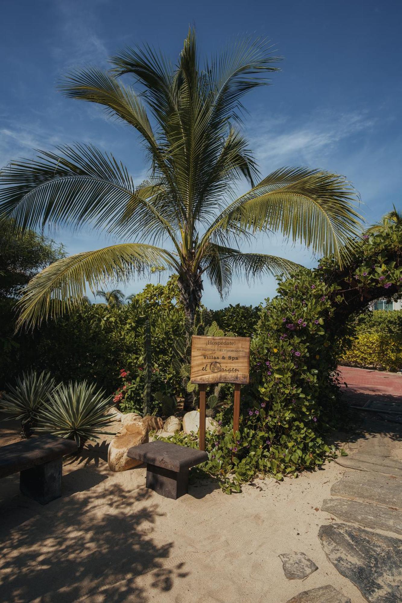 El Origen Villas & Spa-Puerto Escondido Puerto Escondido  Ngoại thất bức ảnh